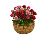Elegant Red Pink Roses - 24 Stems Basket